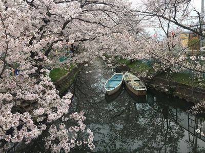 門真市砂子水路