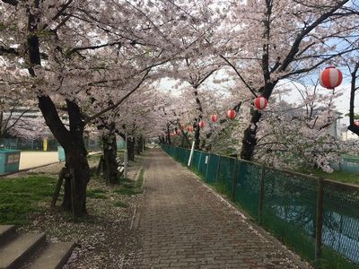 門真市砂子水路