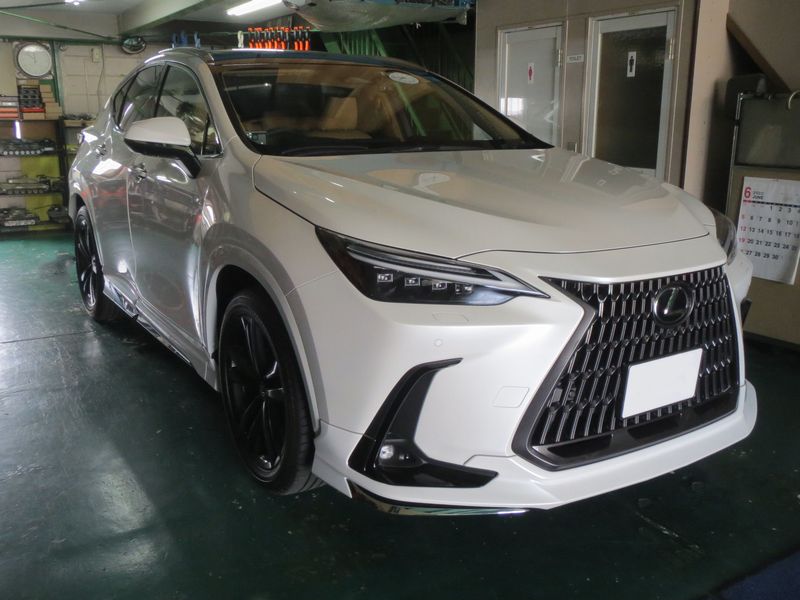 NX250LへGrgo＆IGLA2+取付