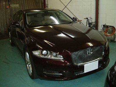 jaguari